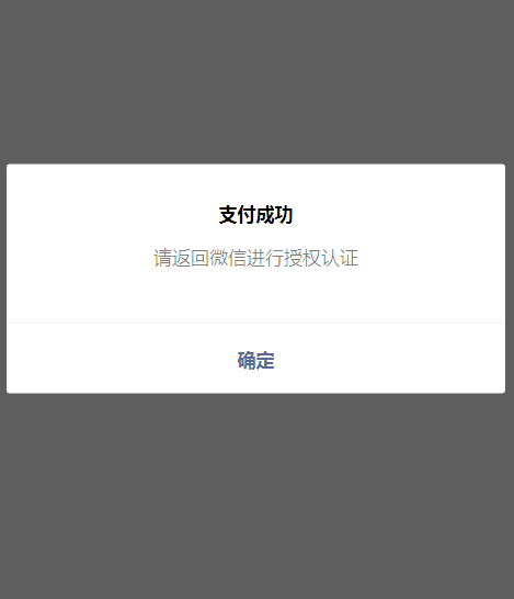 支付成功说明.png
